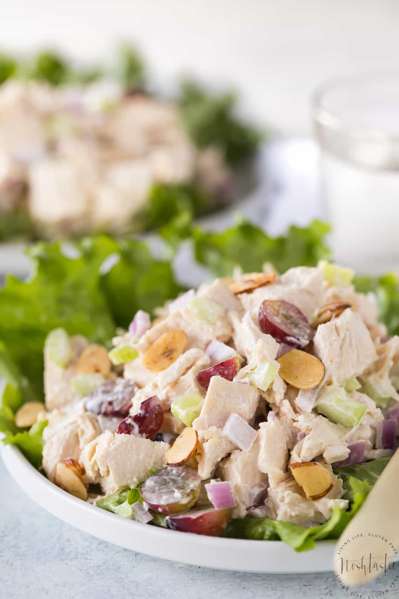 Southern Chicken Salad Recipe