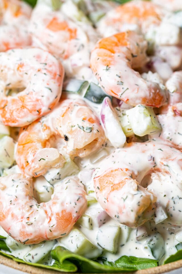 Shrimp Salad - Noshtastic